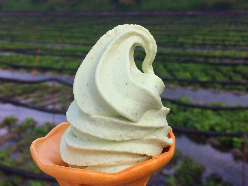  Top những món ăn hương vị Wasabi "có một không hai".
