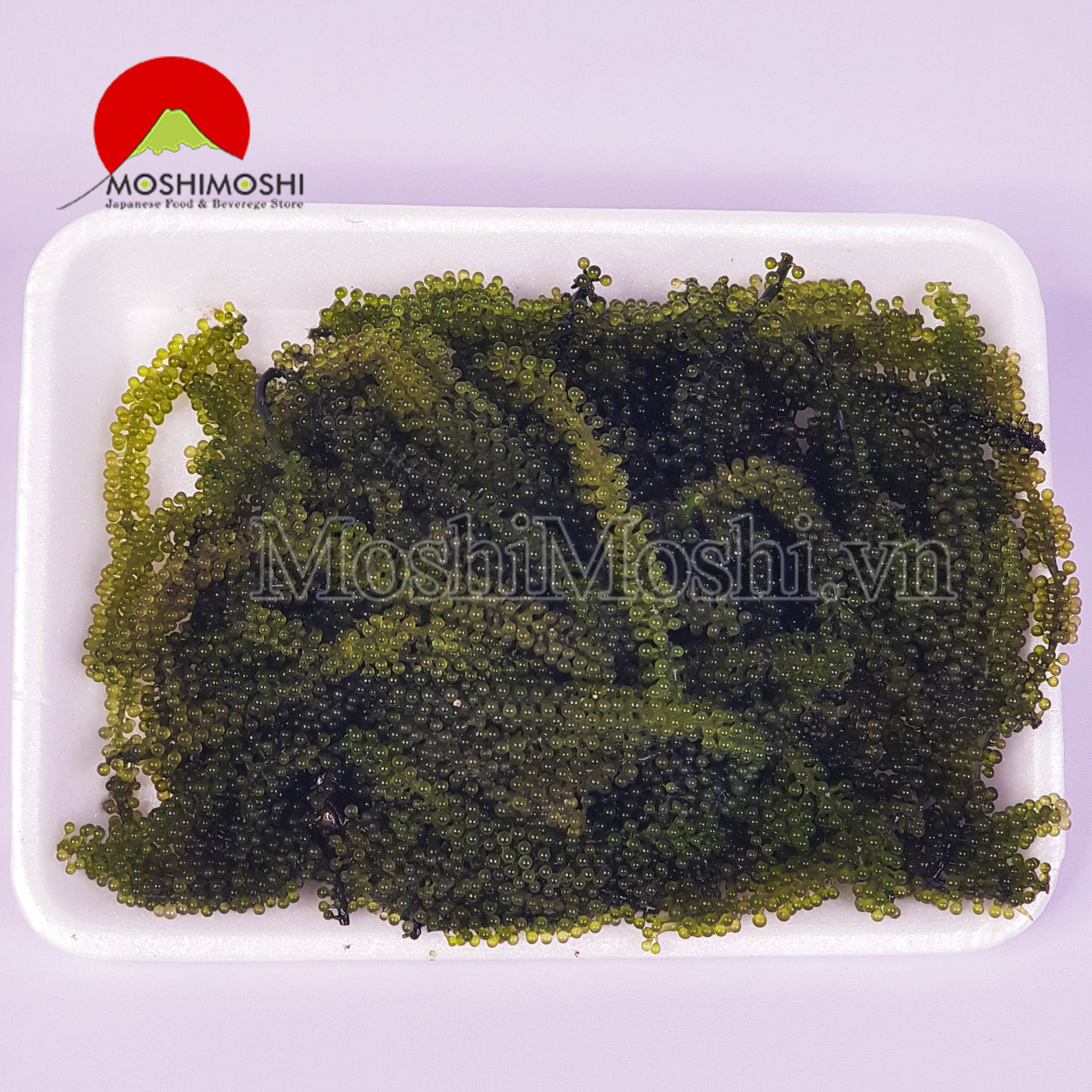 6. Các nhà cung cấp rong nho lớn