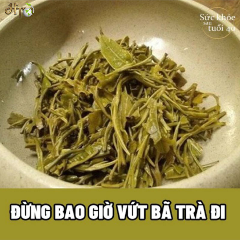 ĐỪNG BAO GIỜ VỨT BẢ TRÀ