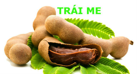 Lợi ích từ trái me