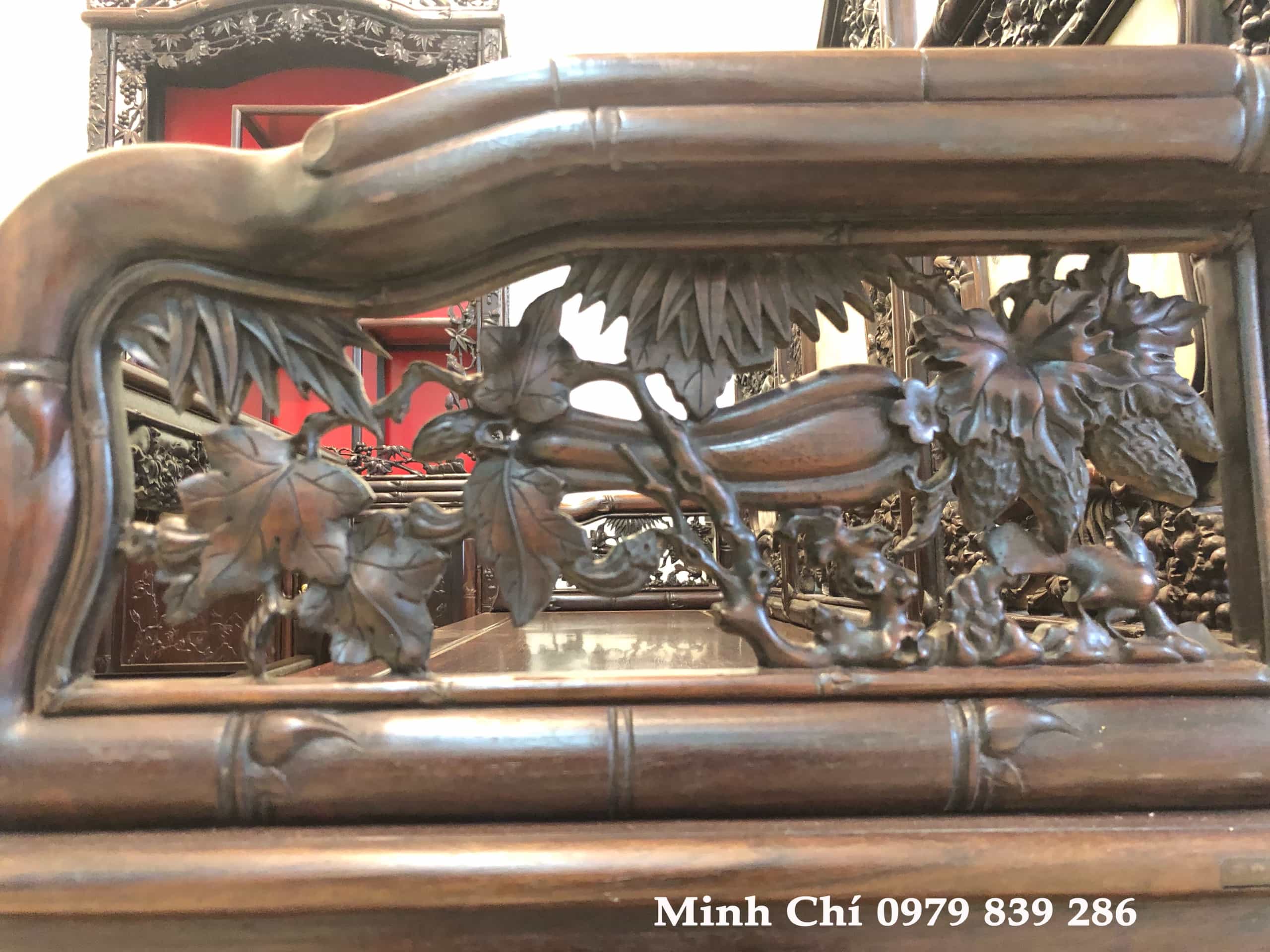 bo-truong-ky-cham-truc-nho-loi-co-6