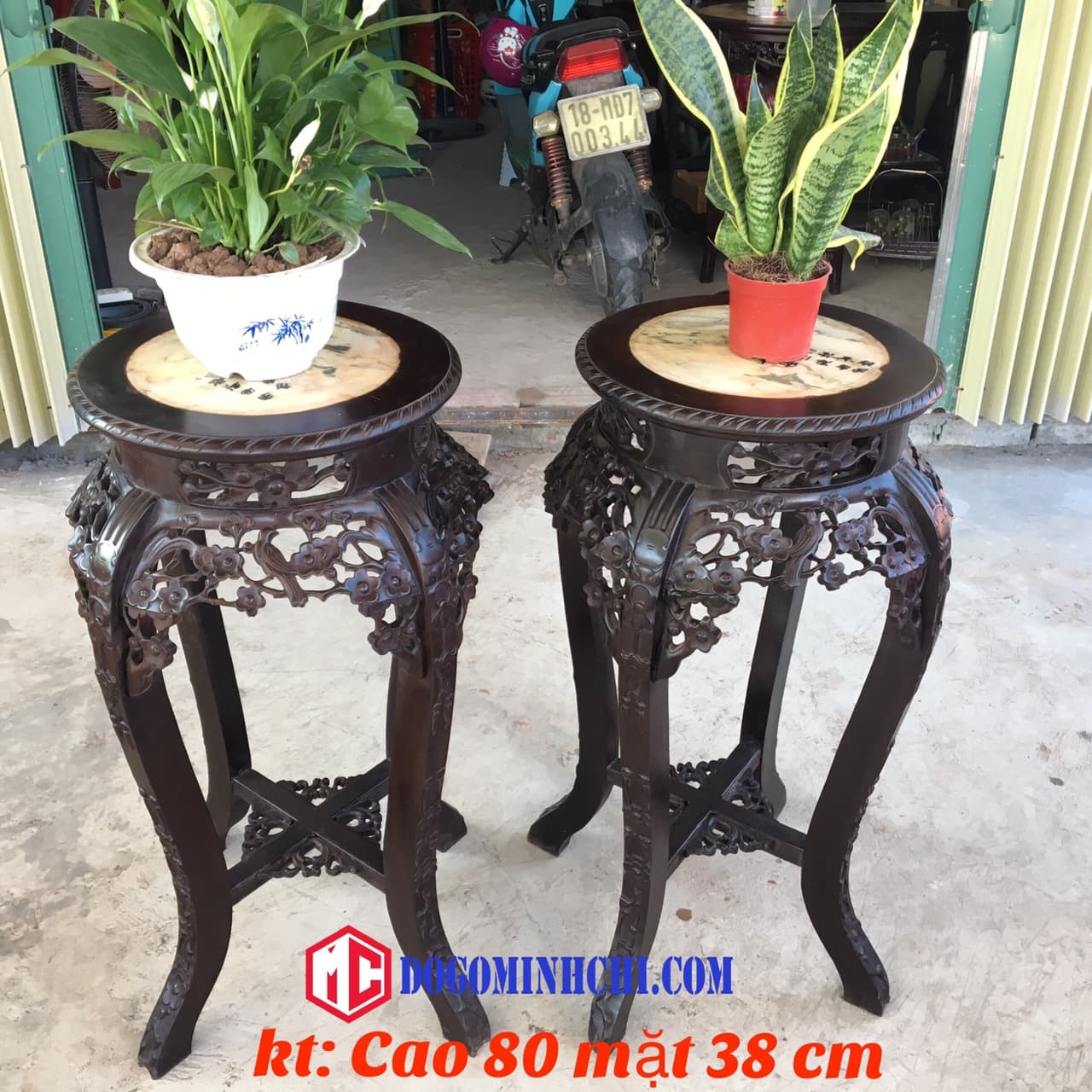 don-hoa-mai-co-cao-ms-17-1