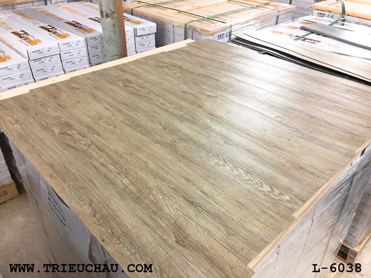 Thảm Trải Lót Sàn TPHCM - Sàn nhựa giả gỗ Winton L6038