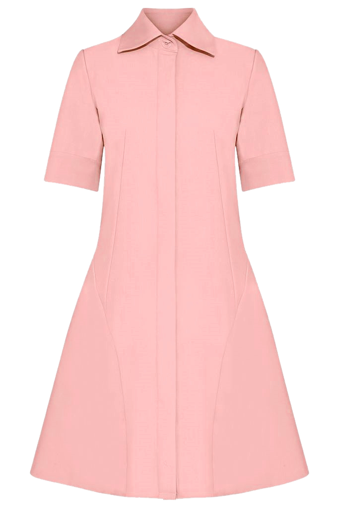 Liv Shirt Dress/ Flamingo