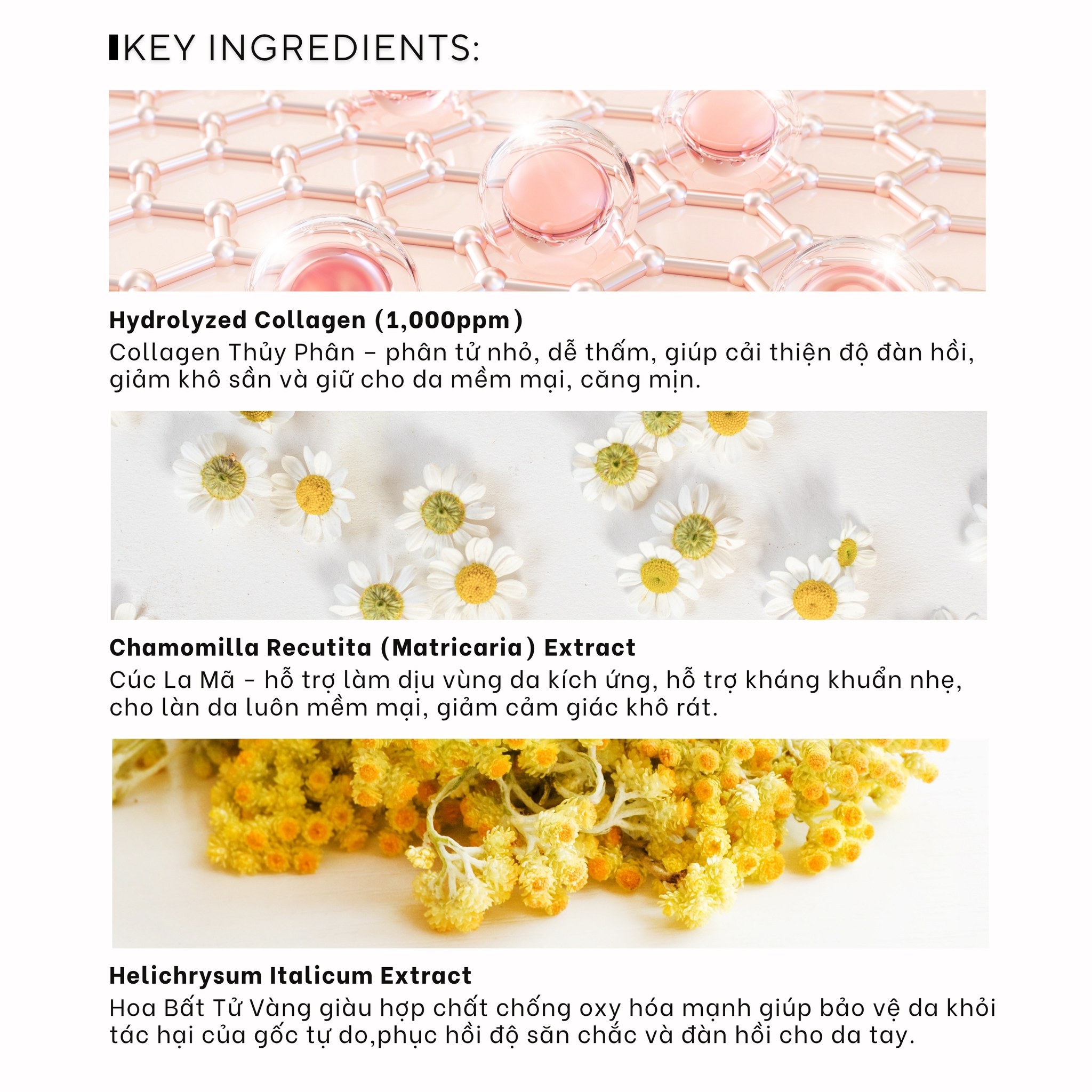 Kem tay Dabo Collagen