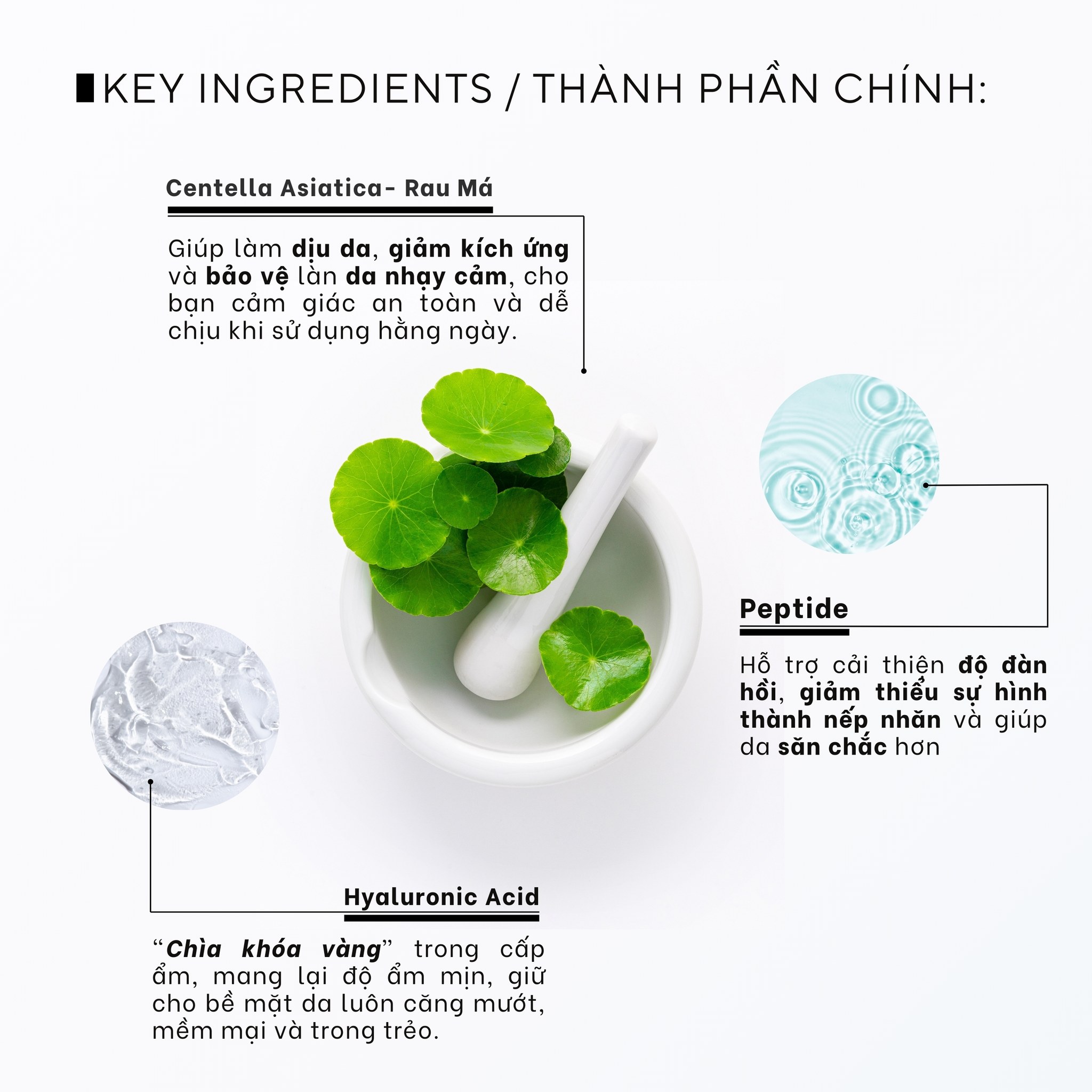 Triple Cover B.B Cream