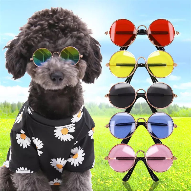 Kính mát cool ngầu