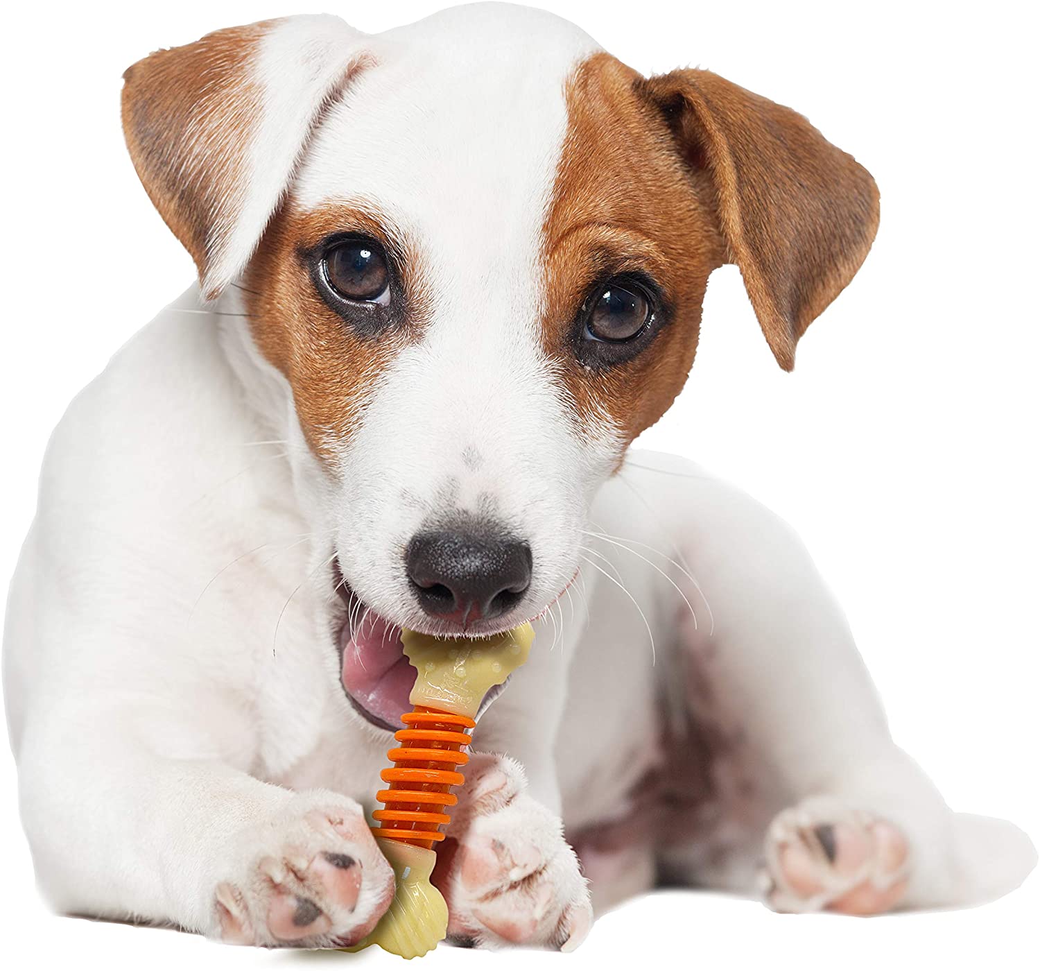 Nylabone Power Chew Dental Bone for Dogs