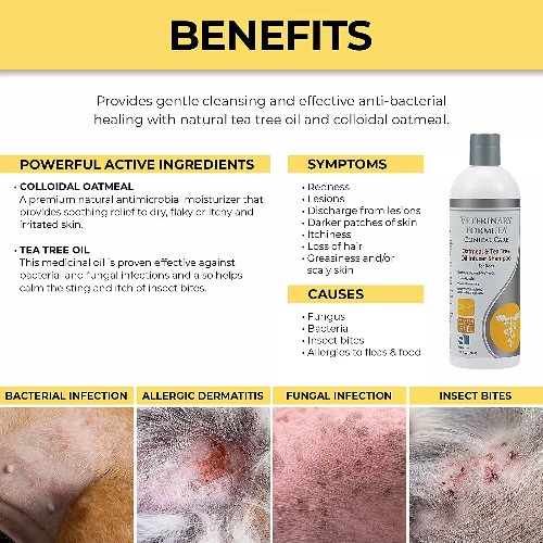 VETERINARY FORMULA CLINICAL Care Dog Shampoo with Oatmeal and Tea Tree Oil Shampoo - Sữa Tắm Giúp Làm Dịu & Cải Thiện Da Cho Chó Mèo