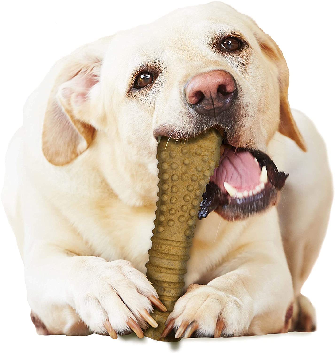 Nylabone Healthy Edibles All-Natural Long Lasting Peanut Butter Dog Chew Treats