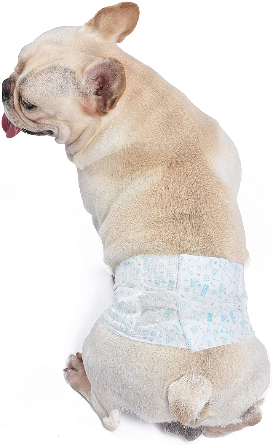 WAGS & WIGGLES Dog Diapers For Male Dogs - X Small
