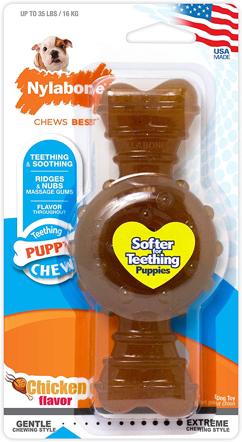 Nylabone Puppy Ring Teething Chicken Flavored Bone, Wolf, Medium