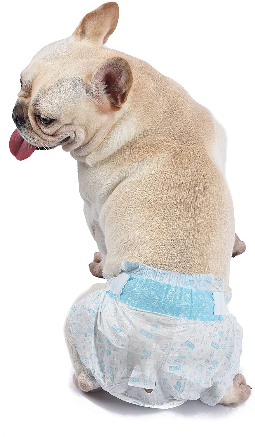 WAGS & WIGGLES Dog Diapers For Female Dogs, Medium