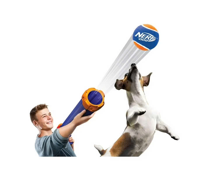 Đồ chơi bắn bóng tennis Nerf Dog cho chó 16 inch