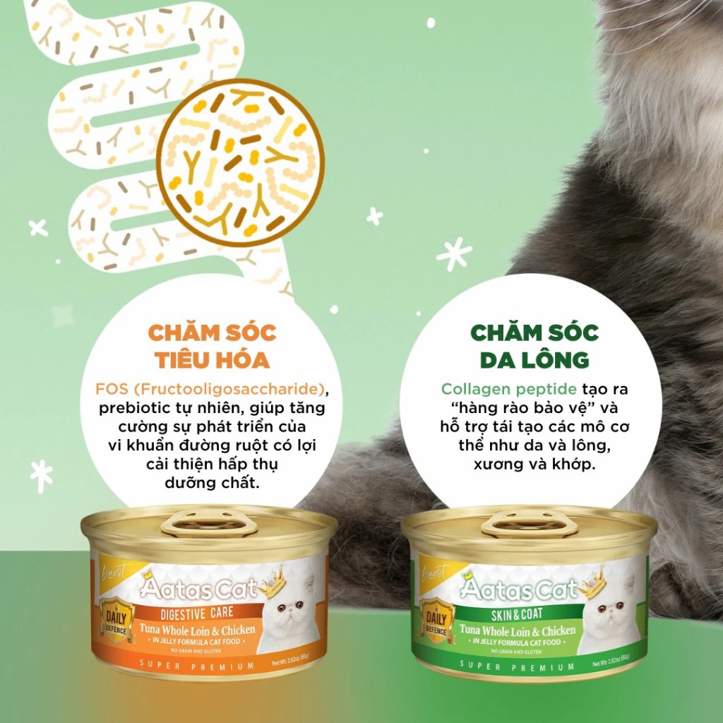 Pate Aatas Daily Defence - Dòng hỗ trợ chức năng - Lon 80g