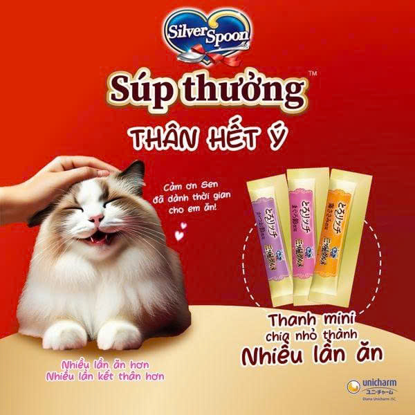 Súp Thưởng Mèo Silver Spoon Nhiều Vị (Gói 48g – 8 Thanh x 6g)