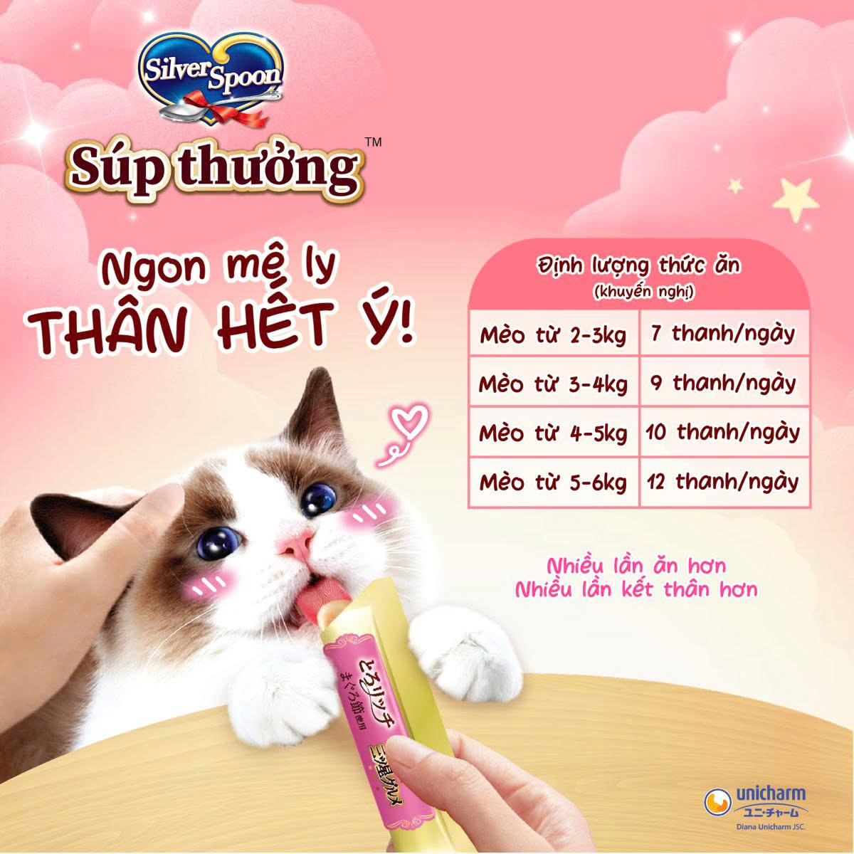 Súp Thưởng Mèo Silver Spoon Nhiều Vị (Gói 48g – 8 Thanh x 6g)