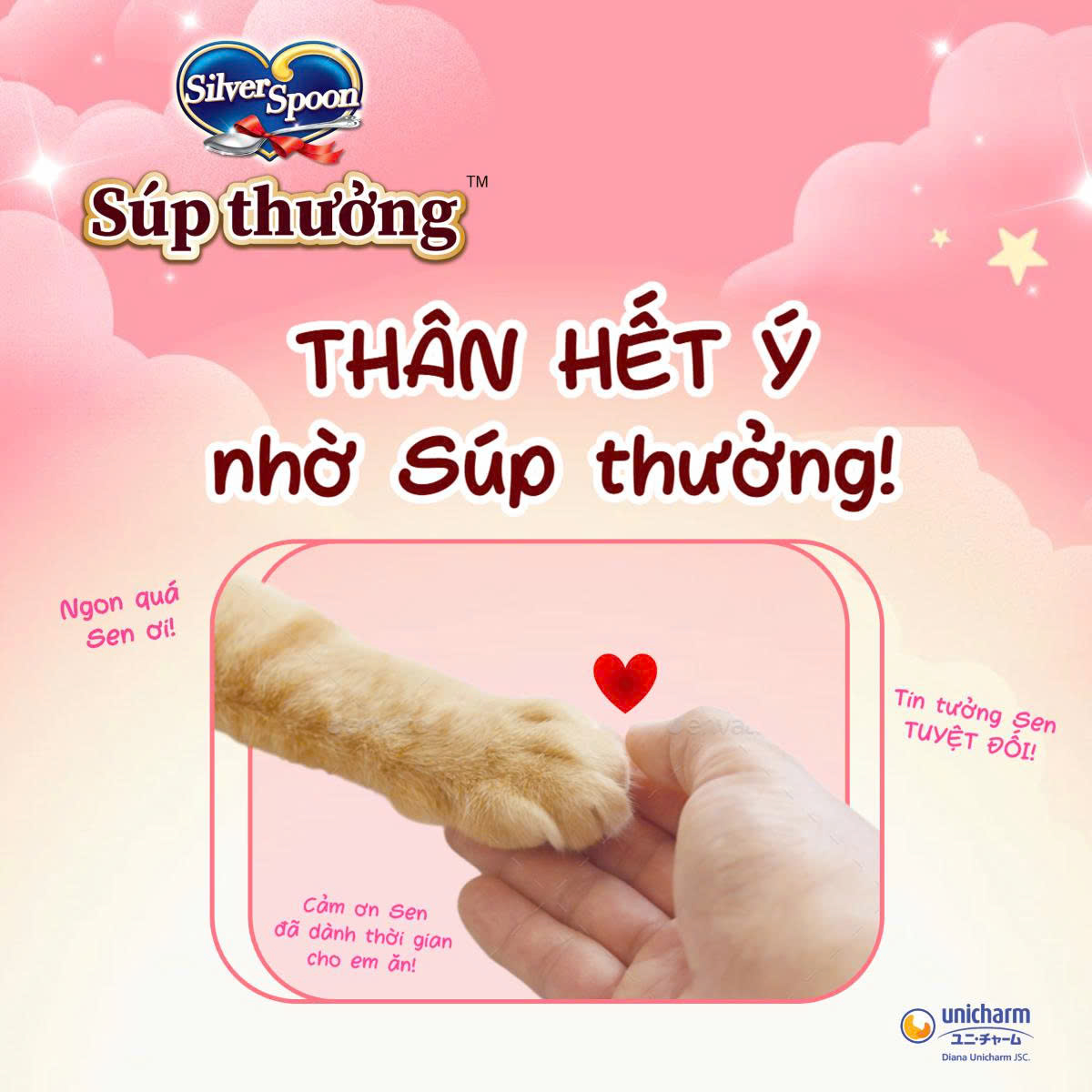 Súp Thưởng Mèo Silver Spoon Nhiều Vị (Gói 48g – 8 Thanh x 6g)