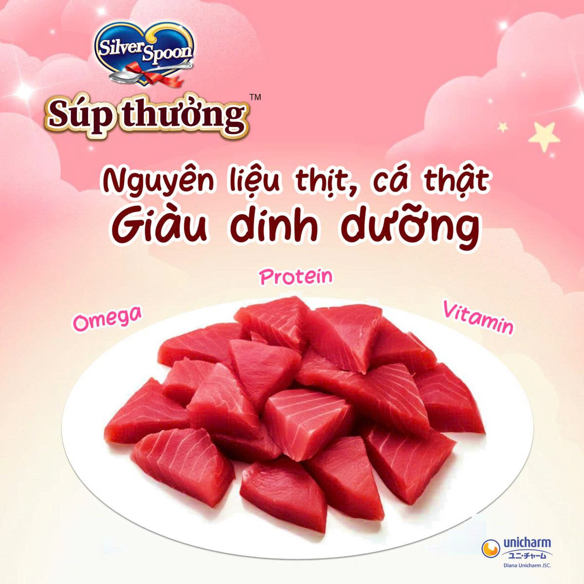 Súp Thưởng Mèo Silver Spoon Nhiều Vị (Gói 48g – 8 Thanh x 6g)