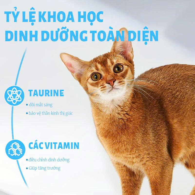 THỨC ĂN HẠT MR. VET CHO MÈO 1KG NHIỀU VỊ