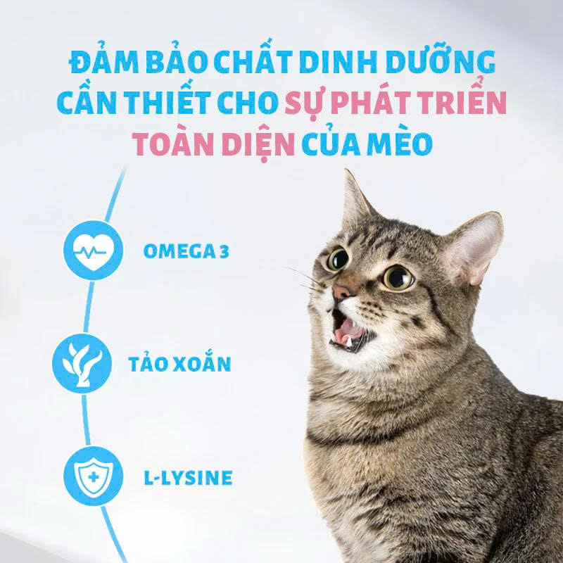 THỨC ĂN HẠT MR. VET CHO MÈO 1KG NHIỀU VỊ