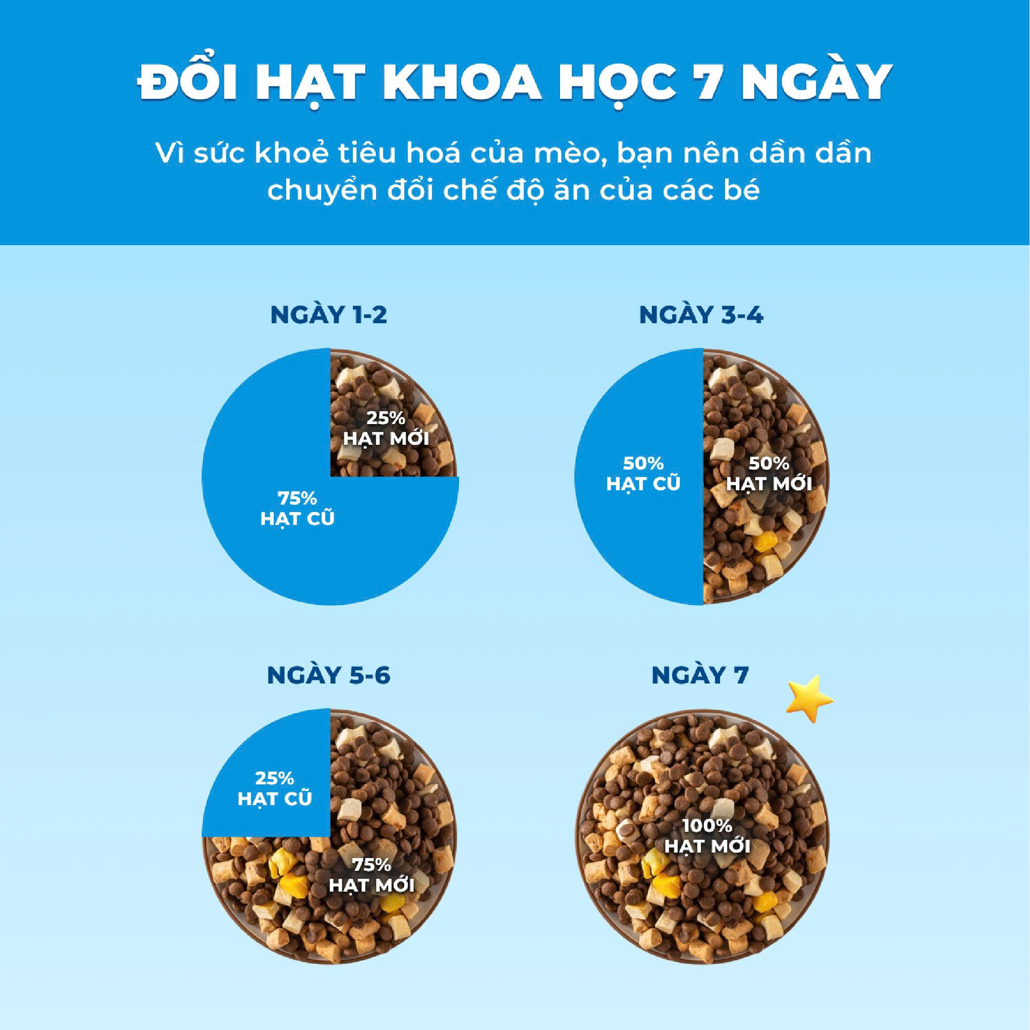 THỨC ĂN HẠT MR. VET CHO MÈO 1KG NHIỀU VỊ