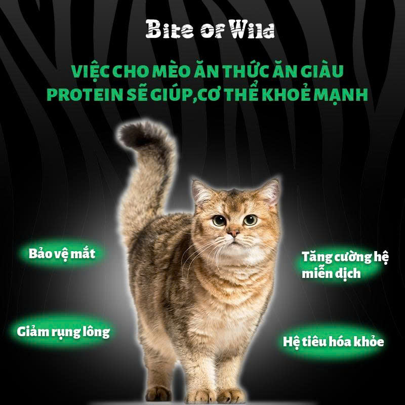 SÚP THƯỞNG BITE OF WILD CHO MÈO 60G ( 4 THANH x 15G )