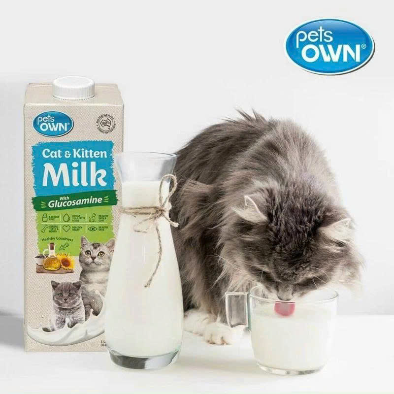 Sữa PETS OWN Úc 1L dành cho chó mèo