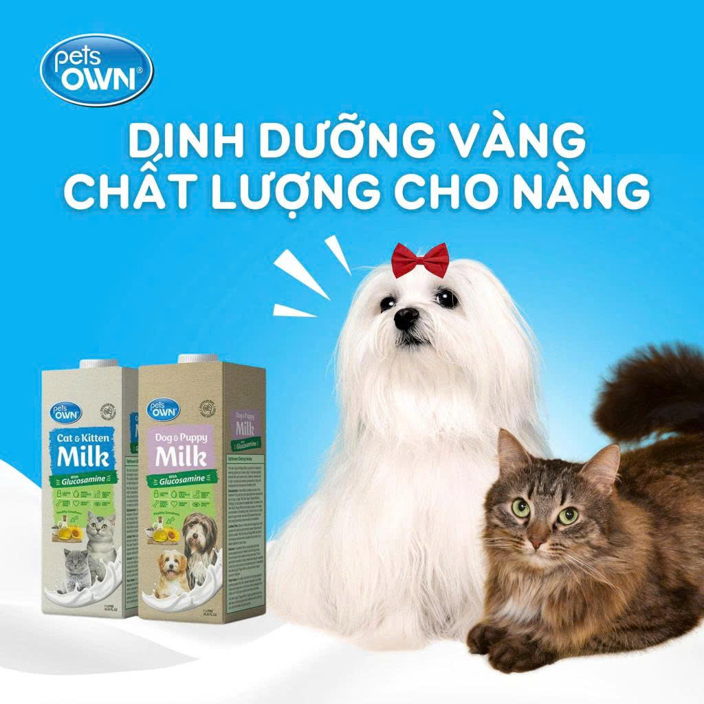 Sữa PETS OWN Úc 1L dành cho chó mèo