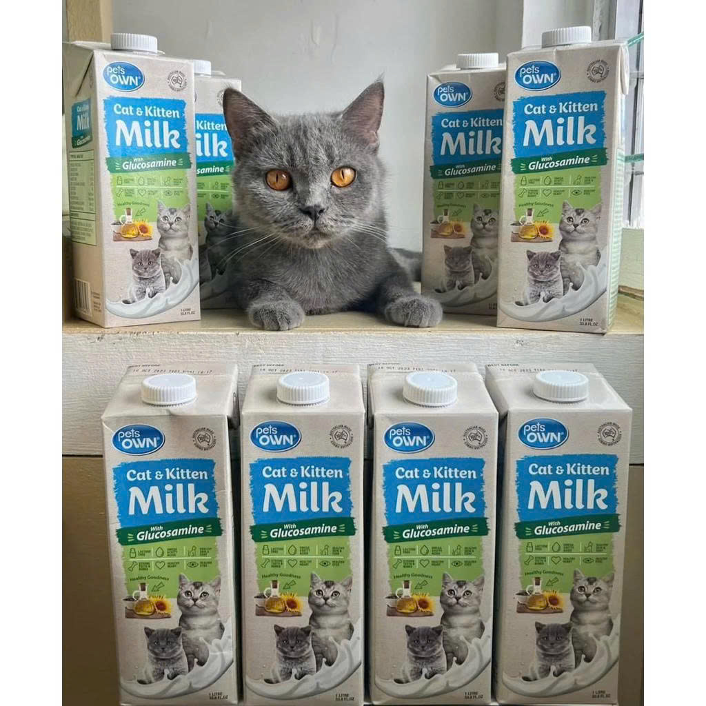 Sữa PETS OWN Úc 1L dành cho chó mèo