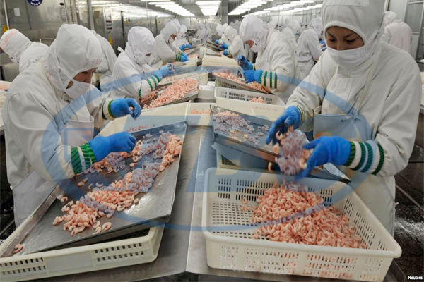 quần áo bảo hộ ngành thủy sản