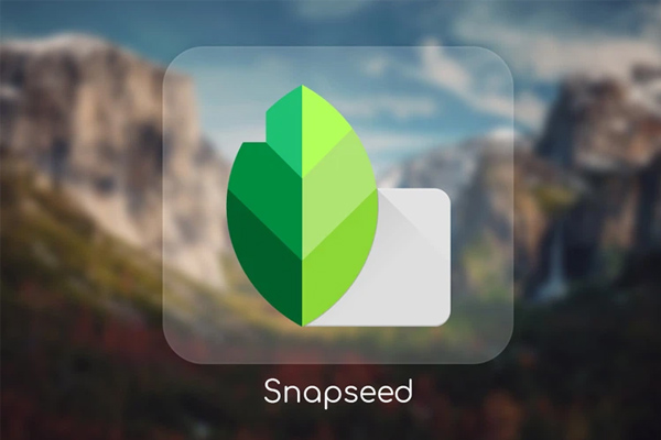 Snapseed là app online ghép mặt vào ảnh thẻ
