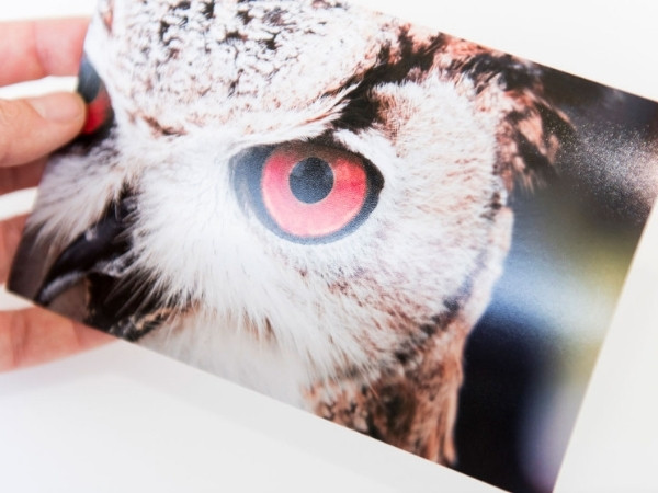 Giấy Luster có bề mặt mịn óng, độ nhám nhẹ