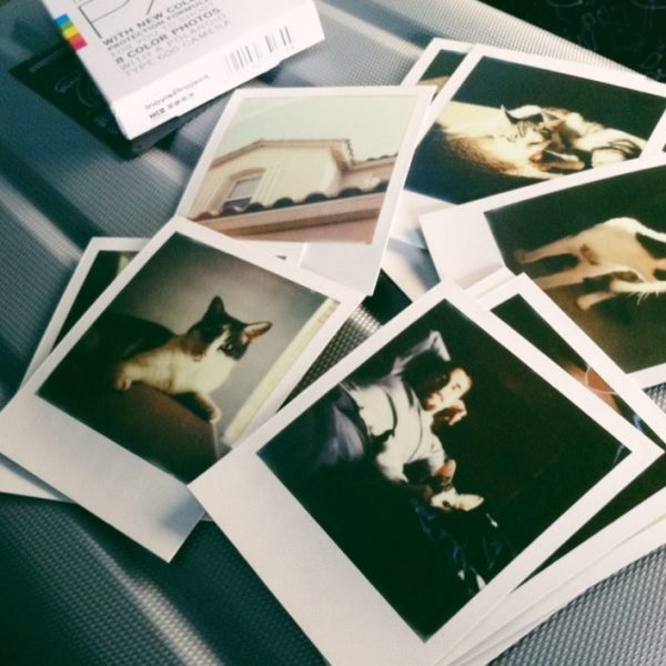 Các ảnh in Polaroid