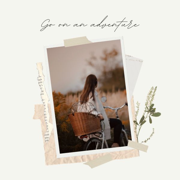 Phong cách ảnh Polaroid độc đáo