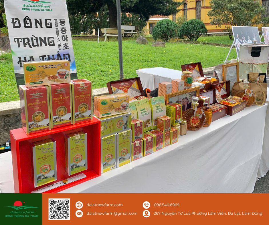 𝐃𝐚𝐥𝐚𝐍𝐞𝐰𝐟𝐚𝐫𝐦 đồng hành cùng Họp báo công bố Lễ hội Cồng chiêng Đông Nam Á 2025