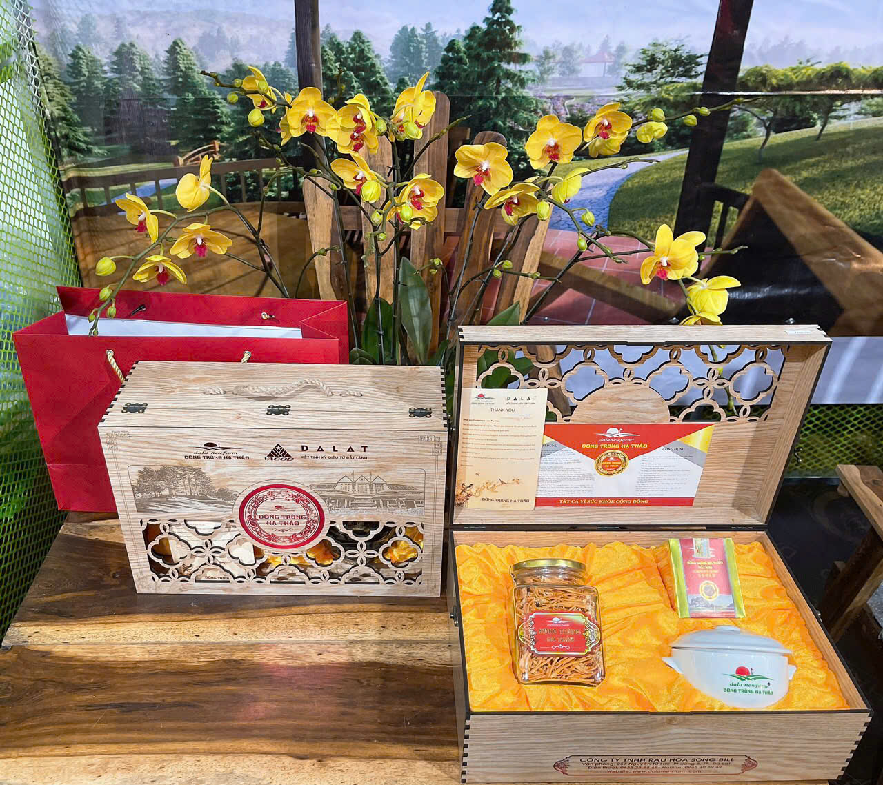 QUÀ TẾT ĐÔNG TRÙNG HẠ THẢO – QUY TRÌNH TẠO NÊN ĐÔNG TRÙNG HẠ THẢO CHẤT LƯỢNG CAO