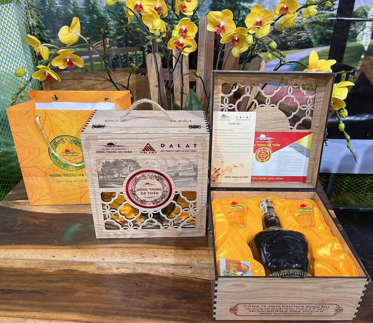 Đông trùng hạ thảo có thật sự tốt như nhà bán hàng nói? Sự thật bạn nên biết trước khi mua