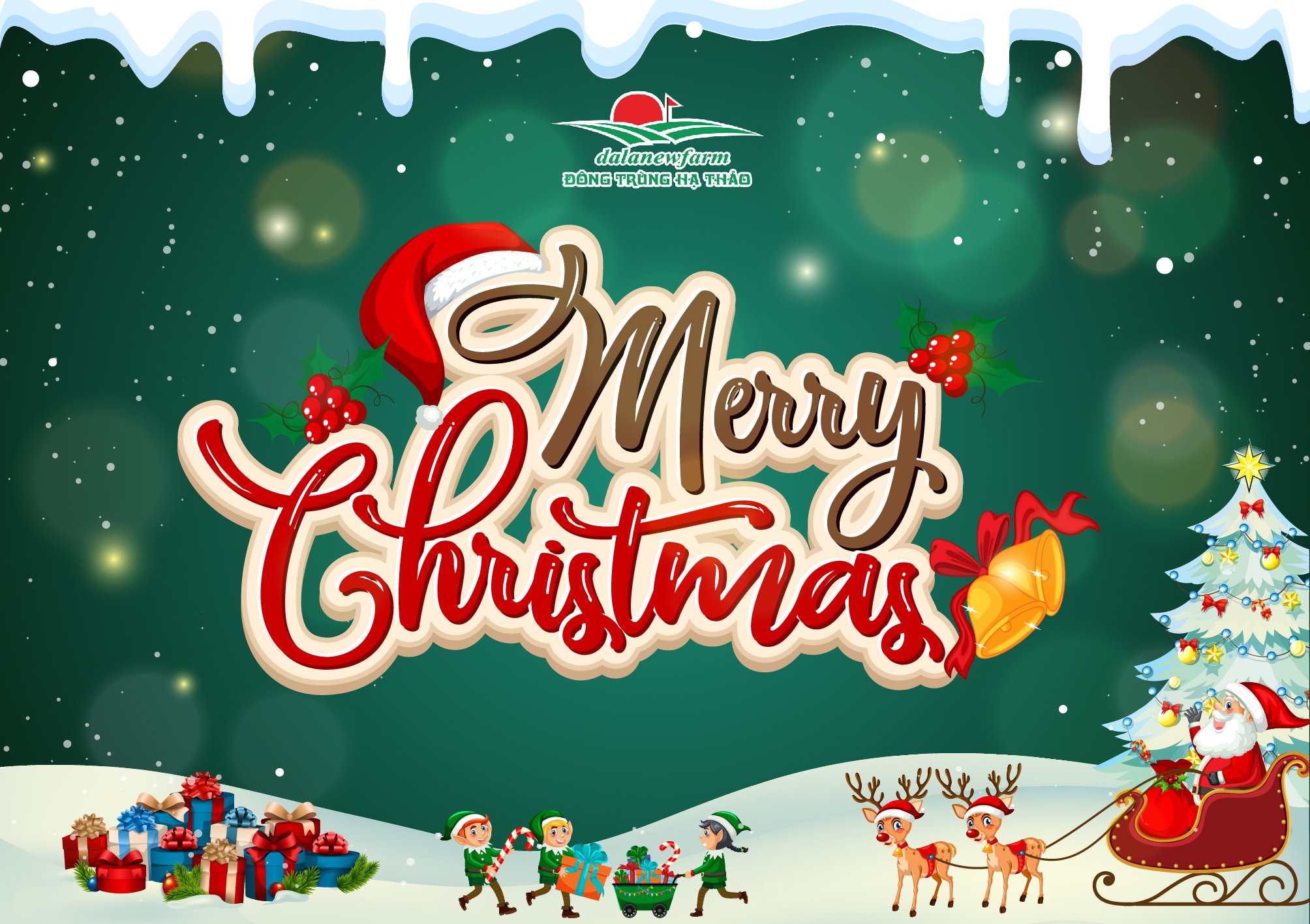 Giáng sinh an lành – Ấm áp yêu thương 🎄