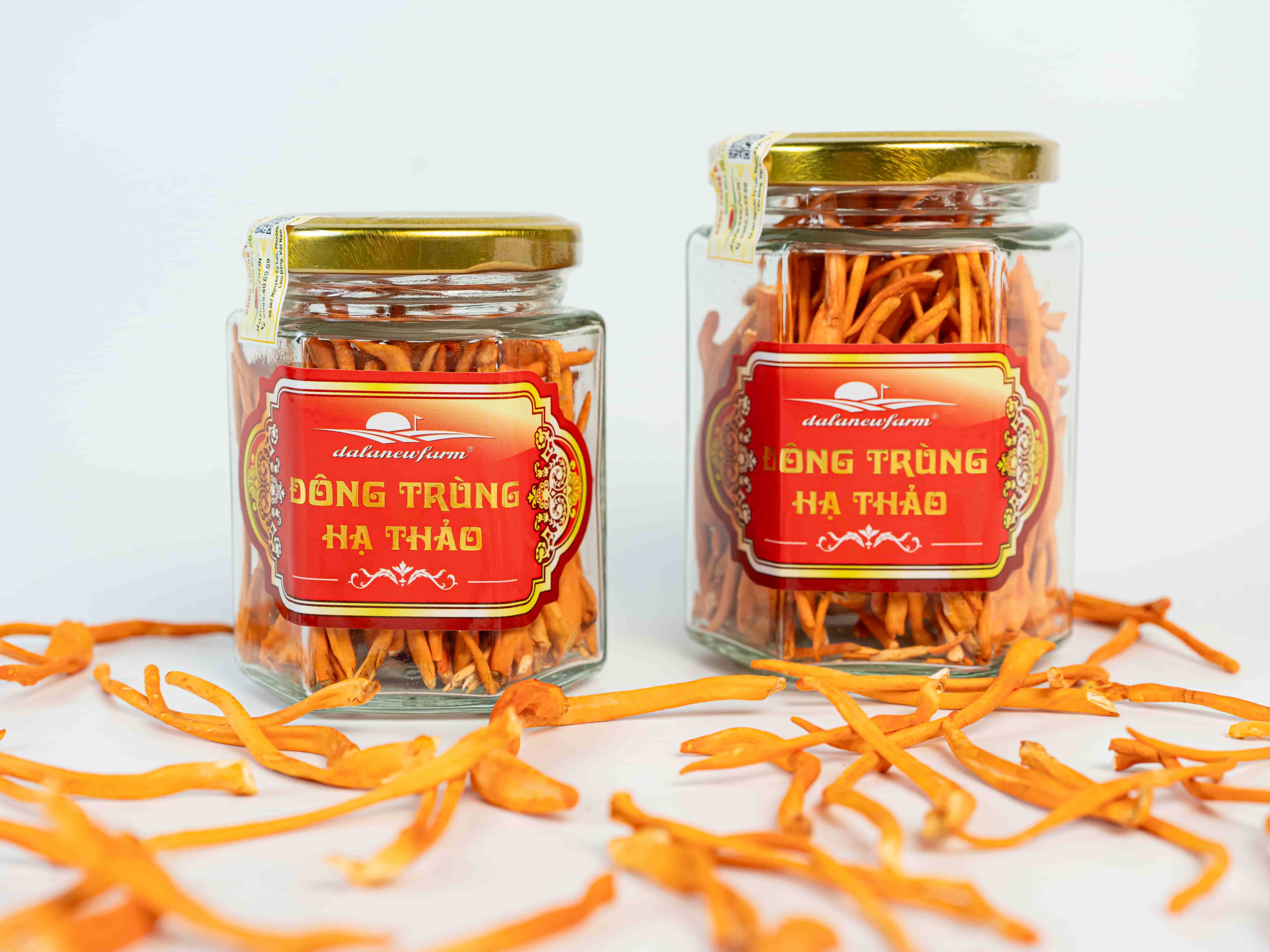 Đông Trùng Hạ Thảo Sấy Thăng Hoa SIZE 1