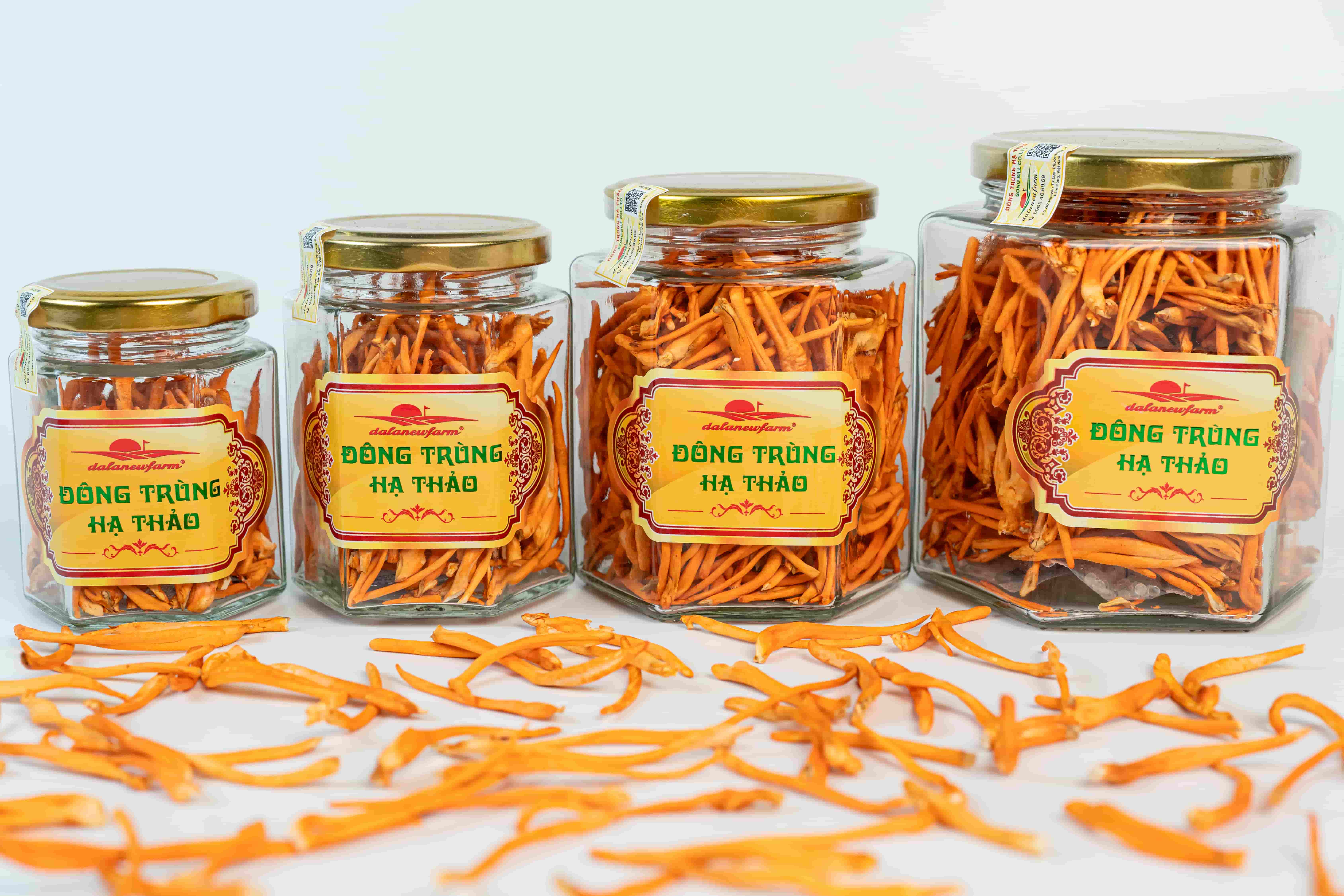Đông Trùng Hạ Thảo Sấy Thăng Hoa SIZE 2