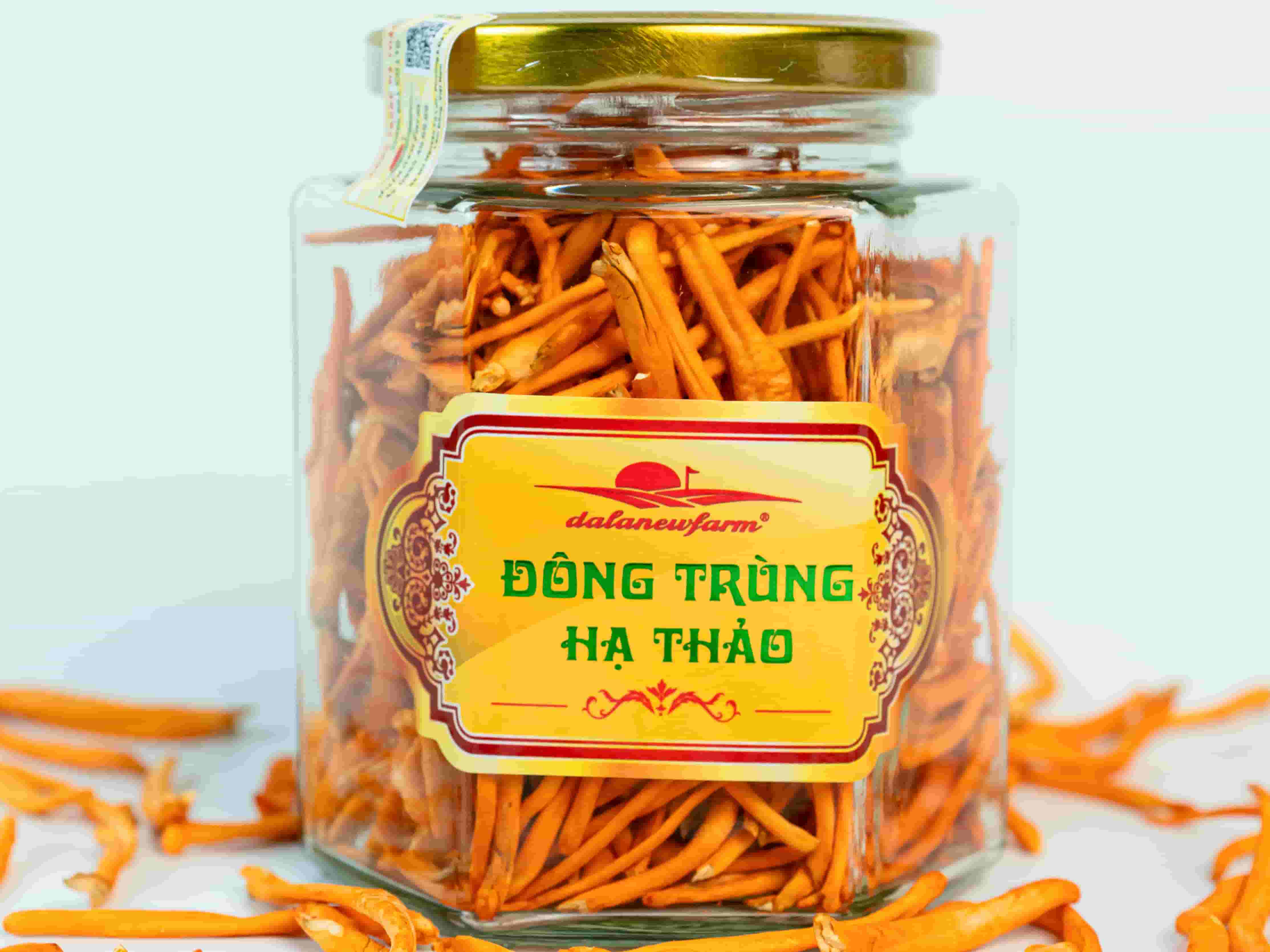 Đông Trùng Hạ Thảo Sấy Thăng Hoa SIZE 2