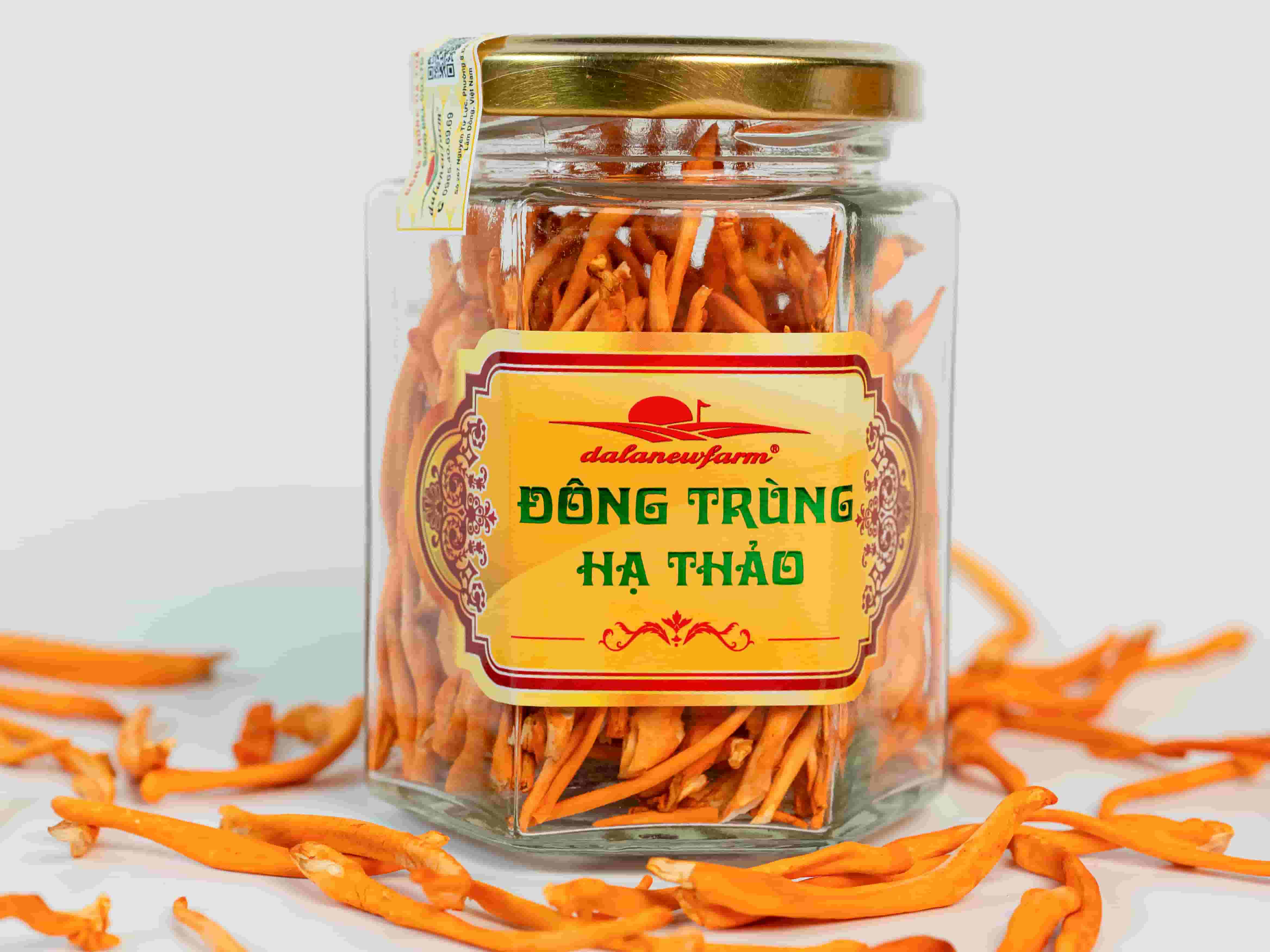 Đông Trùng Hạ Thảo Sấy Thăng Hoa SIZE 2