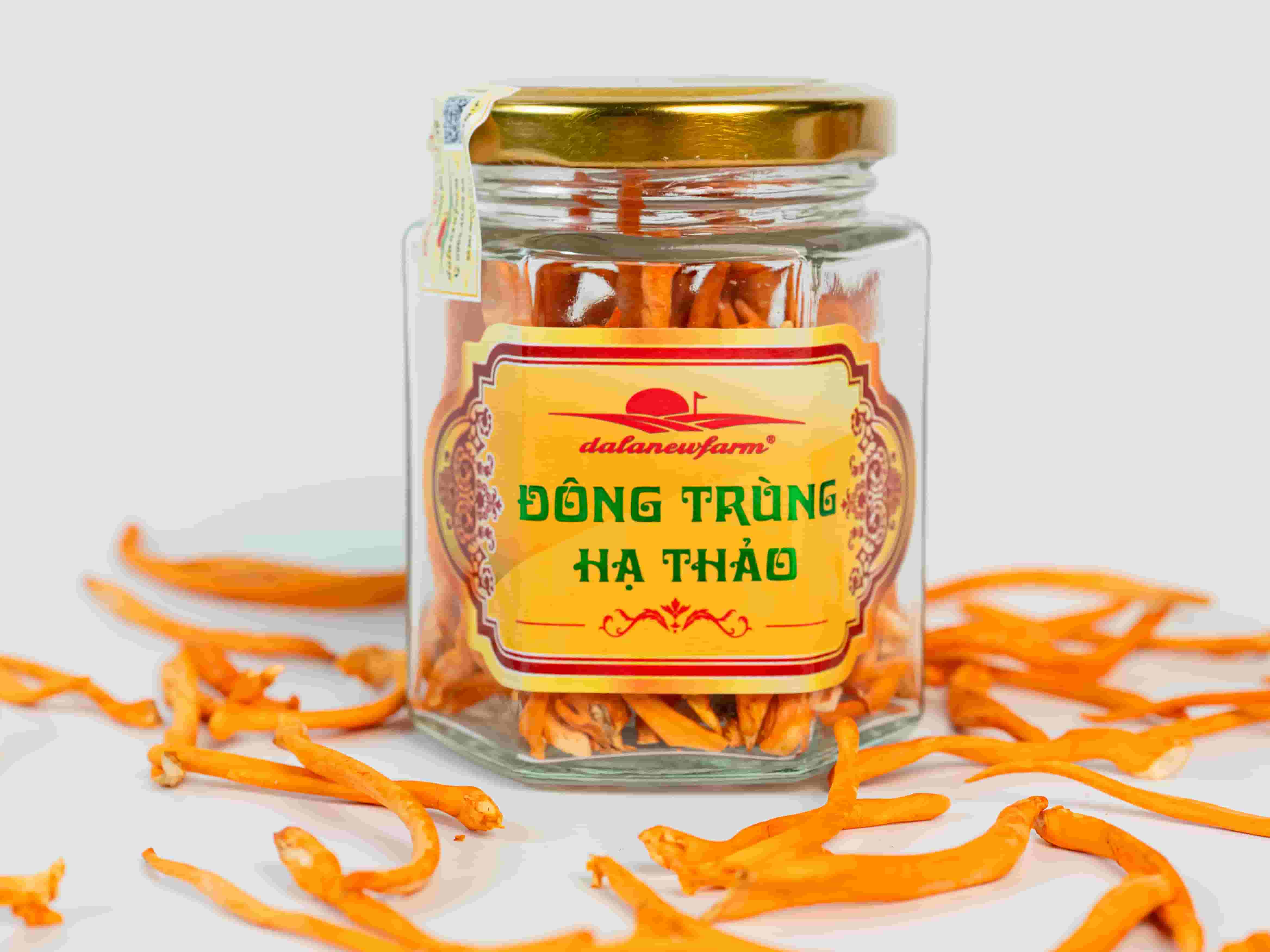Đông Trùng Hạ Thảo Sấy Thăng Hoa SIZE 2