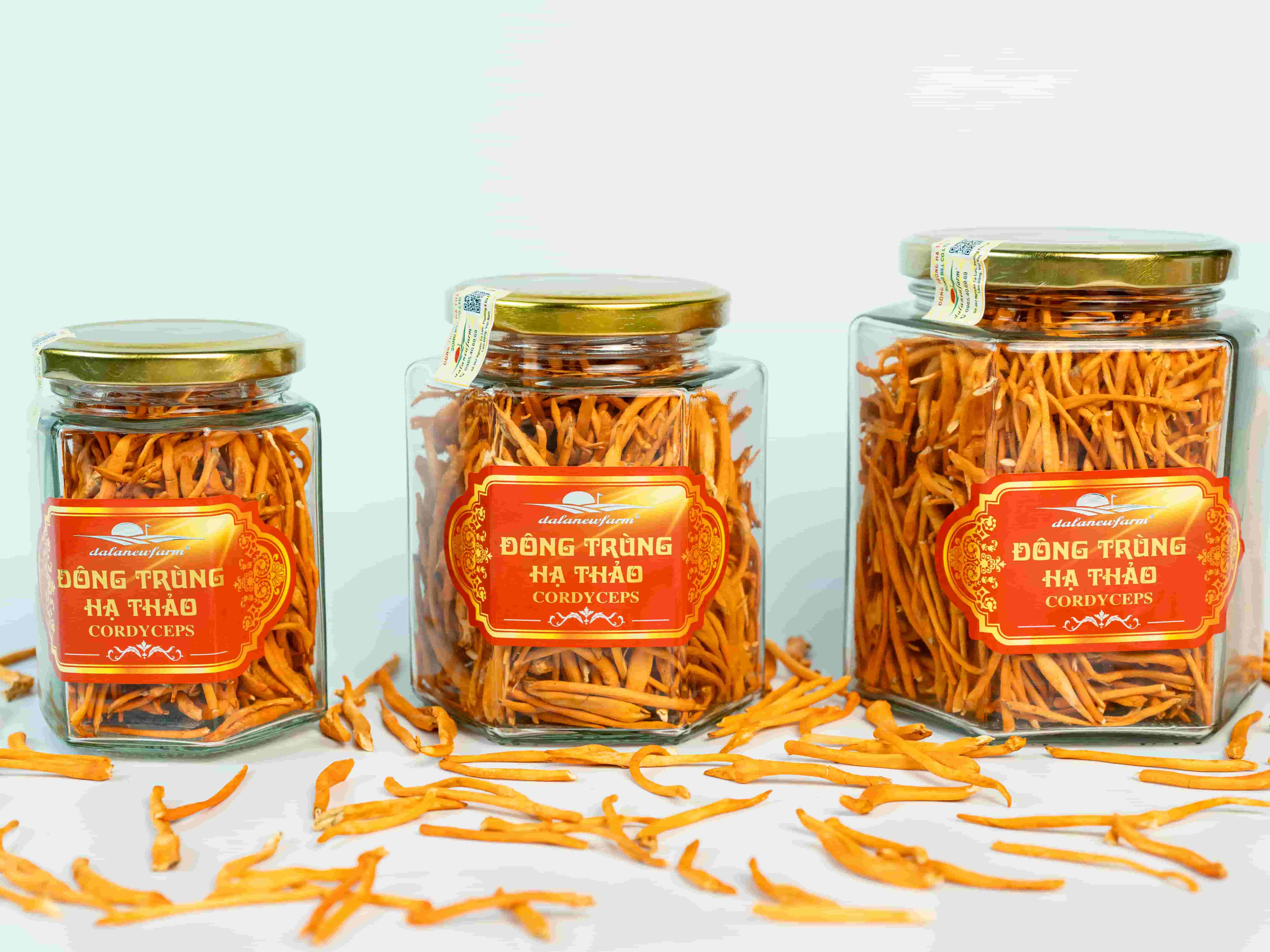 Đông Trùng Hạ Thảo Sấy Thăng Hoa SIZE 3