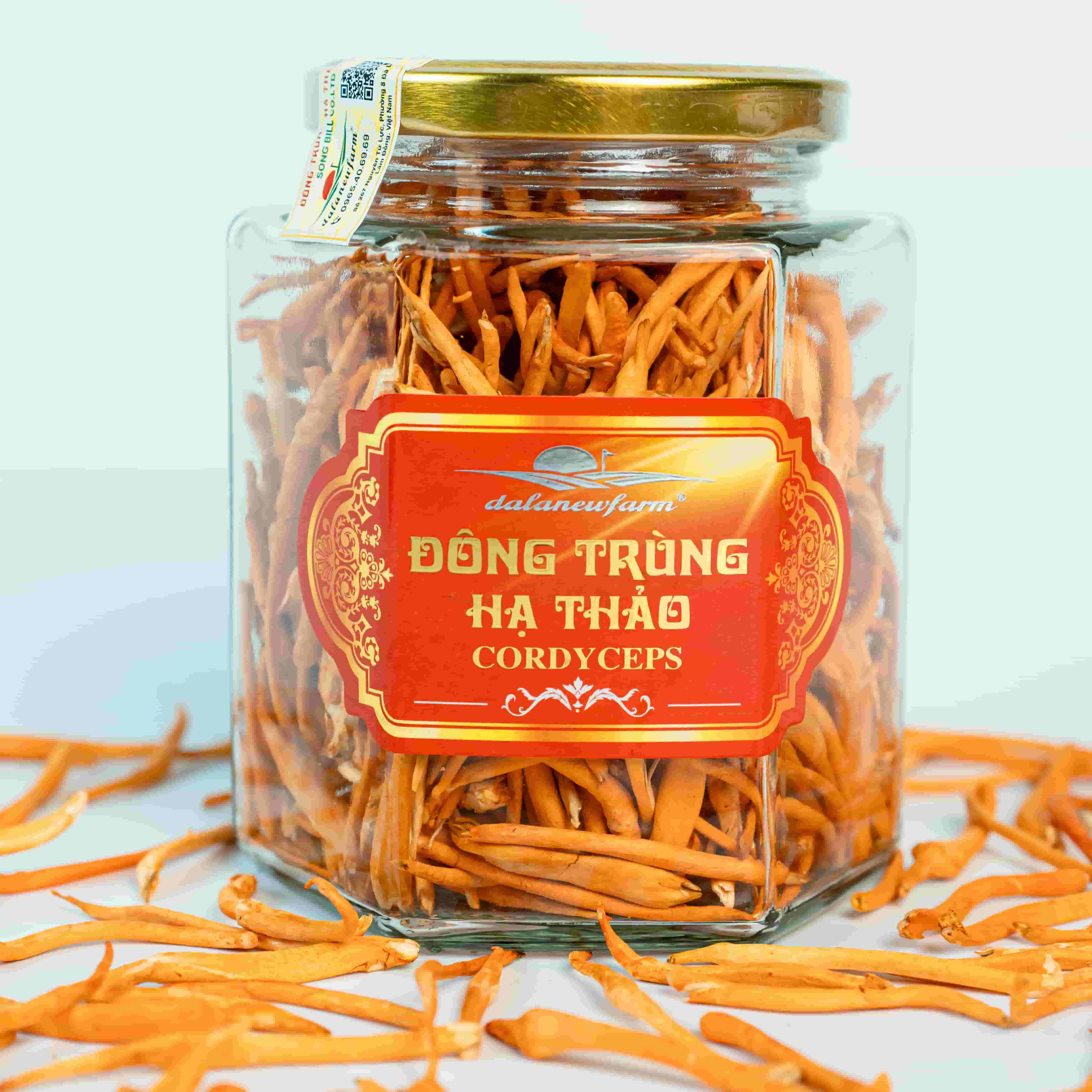 Đông Trùng Hạ Thảo Sấy Thăng Hoa SIZE 3