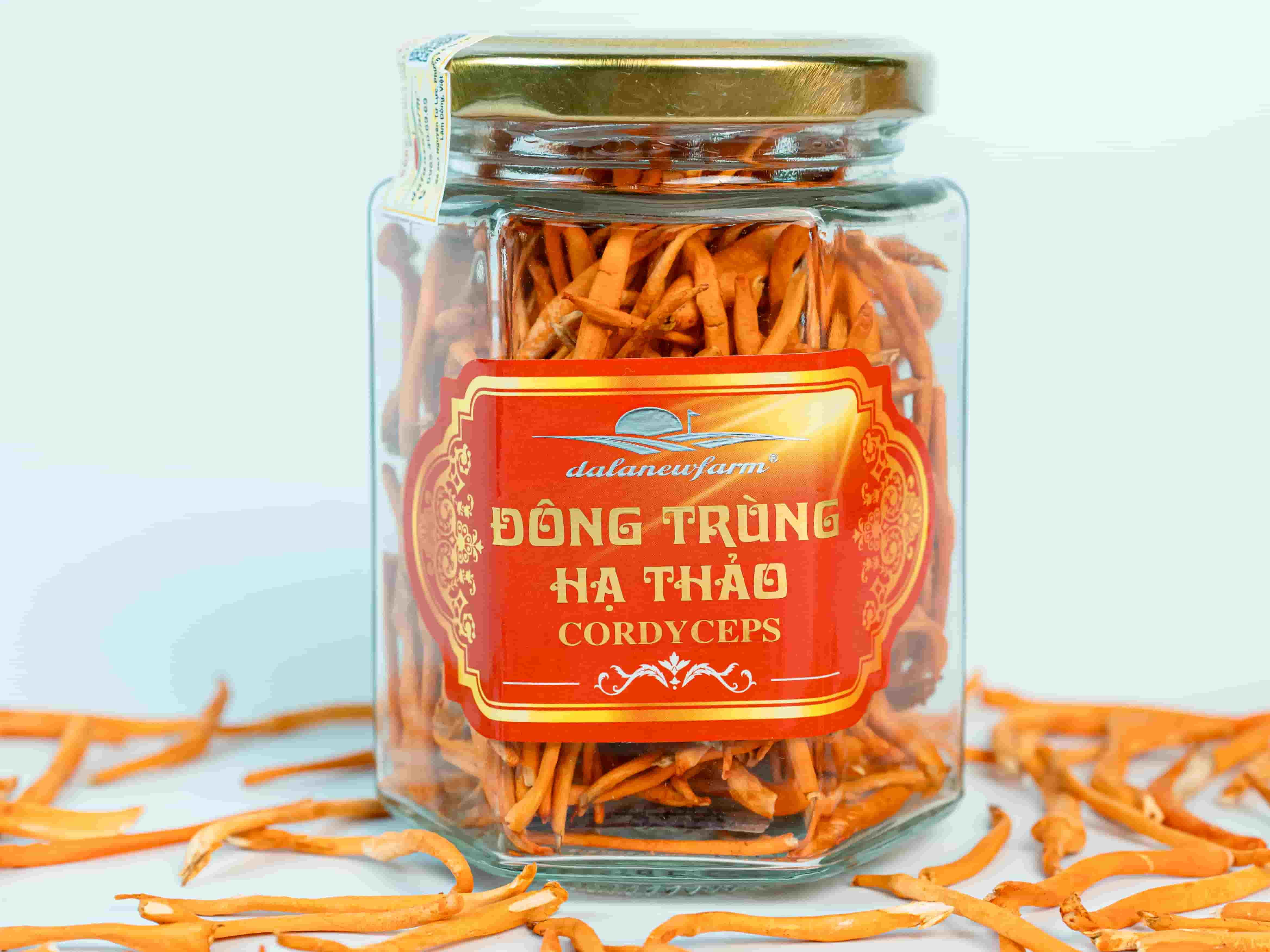 Đông Trùng Hạ Thảo Sấy Thăng Hoa SIZE 3