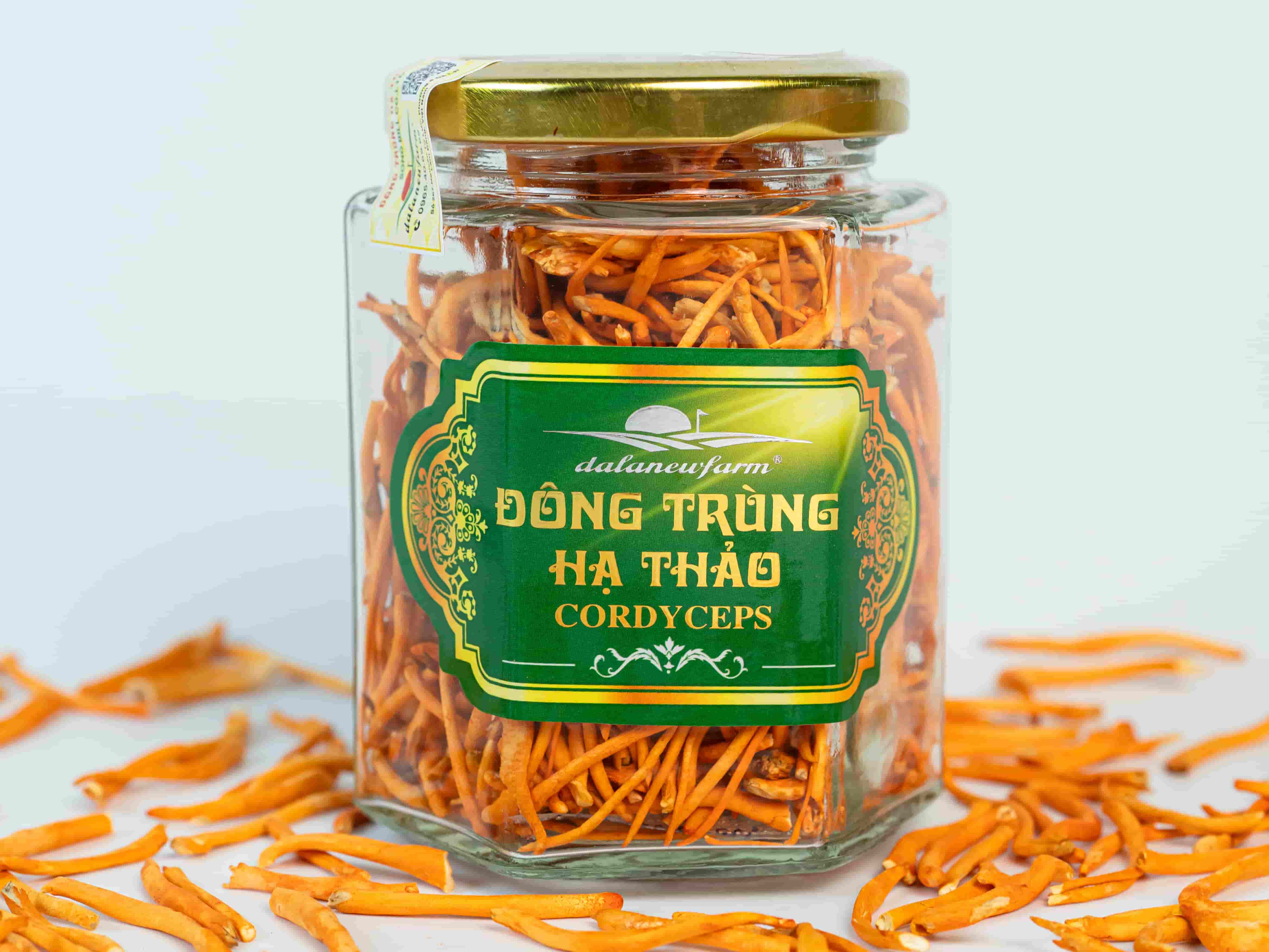 Đông Trùng Hạ Thảo Sấy Thăng Hoa SIZE 4