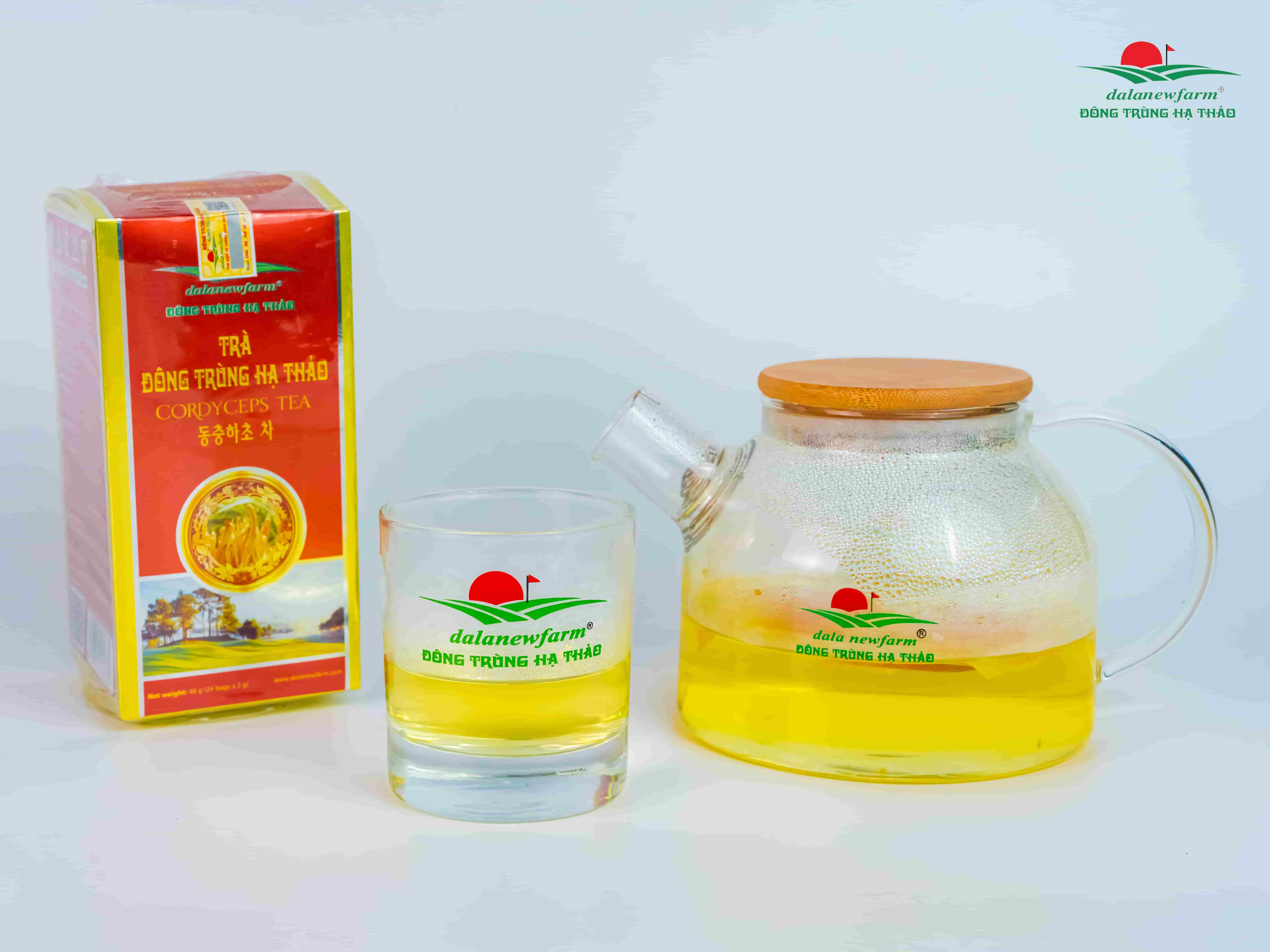 Trà Đông Trùng Hạ Thảo Hộp Đỏ