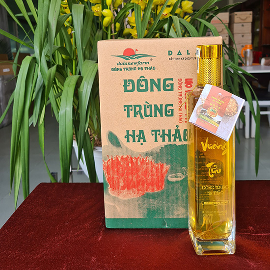 Rượu Đông Trùng Hạ Thảo - Vương Tửu